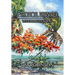 A Tropical Frontier: The Homesteaders
