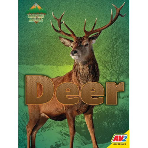 Deer