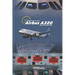Airbus A320: Abnormal Operation