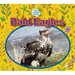 Bald Eagles