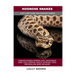 Hognose Snakes: Hognose Snakes General Info, Purchasing, Care, Cost, Keeping, Health, Supplies, Food, Breeding and More Included! A Pe