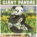 Giant Pandas