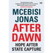 After Dawn: Hope After State Capture