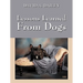 Lessons Learned from Dogs