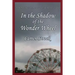 In the Shadow of the Wonder Wheel: A GR Press Mystery