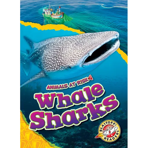Whale Sharks