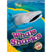 Whale Sharks