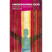Undergoing God: Dispatches from the Scene of a Break-In