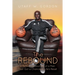The REBOUND: A Reflective Journey of a Man That Got a Chance at Life's Reset