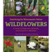 Searching for Minnesota's Native Wildflowers: A Guide for Beginners, Botanists, and Everyone in Between