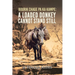 Bourik Chage Pa Ka Kampe A loaded Donkey Cannot Stand Still