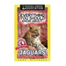 Everything You Should Know About: Jaguars Faster Learning Facts
