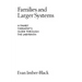 Families and Larger Systems: A Family Therapist's Guide Through the Labyrinth