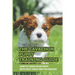 The Cavachon Puppy Training Guide: How To Train Your Puppy With Easy Steps And Techniques: Cavachon Puppy Commands For Cavachon Puppy
