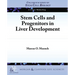 Stem Cells and Progenitors in Liver Development