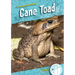 Cane Toad