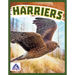 Harriers