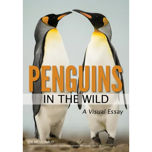 Penguins in the Wild