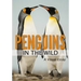 Penguins in the Wild
