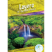 Layers of the Rain Forest