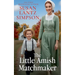 The Little Amish Matchmaker