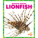 Lionfish