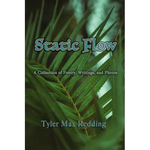 Static Flow