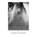 The Triangle Shirtwaist Factory Fire: The History and Legacy of New York City's Deadliest Industrial Disaster