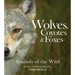 Wolves, Coyotes & Foxes: Symbols of the Wild