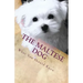 The Maltese Dog: What You Should Know