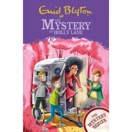 The Mystery of Holly Lane: Book 11