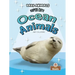 Super Cute Ocean Animals