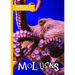 Mollusks