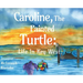Caroline, The Painted Turtle: Life in Key West