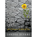 Grace Greater Than Our Grief: God's Provision in the Worst of Times
