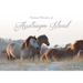 Natural Wonders of Assateague Island
