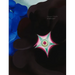 Georgia O'Keeffe: In New Light