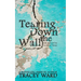 Tearing Down the Wall