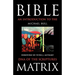 Bible Matrix: An Introduction to the DNA of the Scriptures