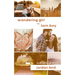 Wandering Girl vs Torn Boy