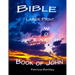 Bible Large Print Word Search: Book of John