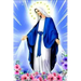 La Historia Jamas Contada de la Virgen Maria