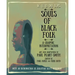 W. E. B. Du Bois Souls of Black Folk: A Graphic Interpretation