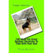 100 Ideas For Great Outdoor Vacations To Take With Your Dog
