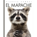 El Mapache