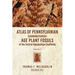 Atlas Of Pennsylvanian (Carboniferous) Age Plant Fossils of the Central Appalachian Coalfields: Volume 2