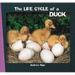 The Life Cycle of a Duck