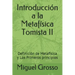 Introducción a la Metafísica Tomista II: Definición de Metafísica y Los Primeros principios