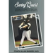SwingQuest: A Coach's Guide to Teaching and Enjoying Youth Baseball
