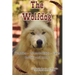 The Wolfdog: Genetics - characteristics - cares - feeding and more